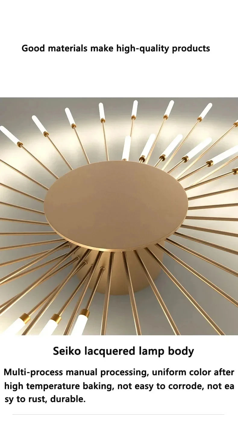 Modern LED Ceiling Lamp