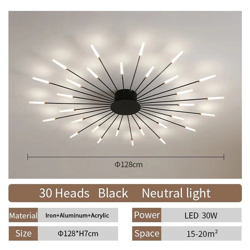 Modern LED Ceiling Lamp