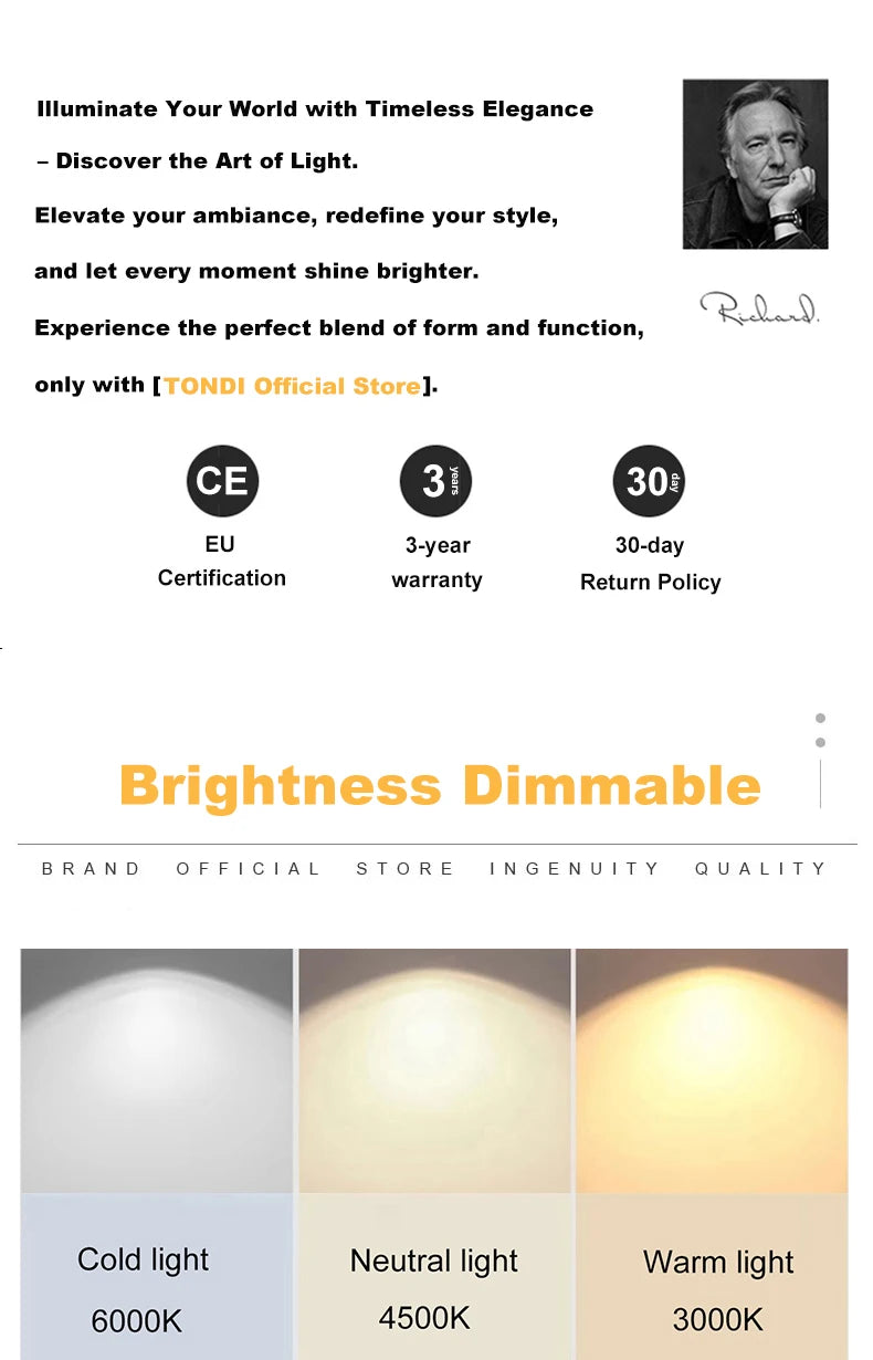 Nordic LED Chandelier Pendant Light