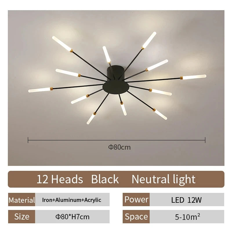 Modern LED Ceiling Lamp