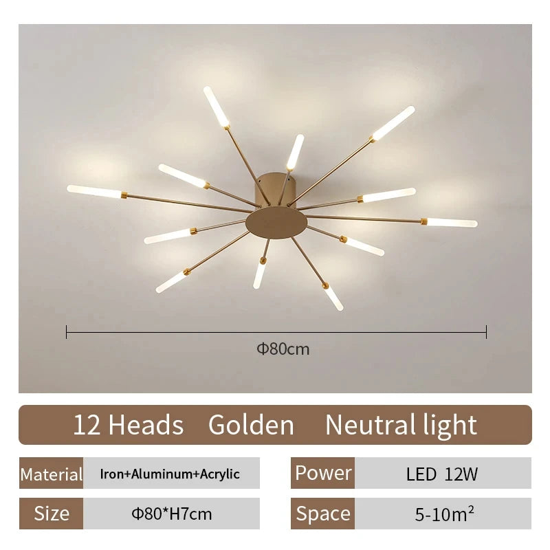 Modern LED Ceiling Lamp
