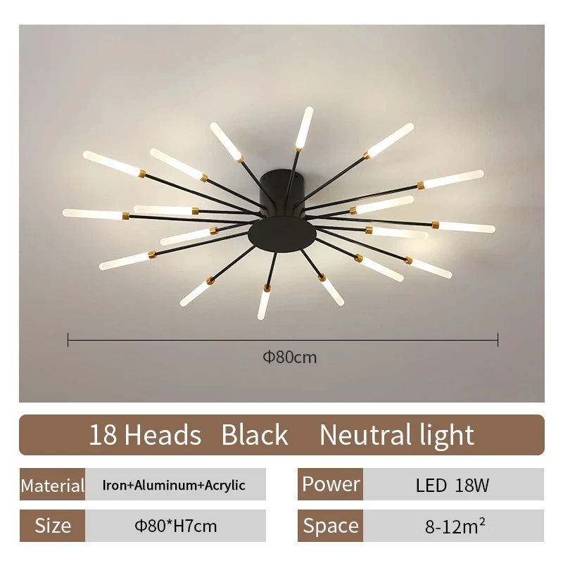 Modern LED Ceiling Lamp