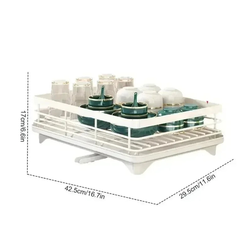 Dish Drying Rack with Drainboard